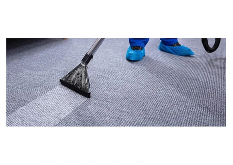 Professional Carpet Steam Cleaning Specialists in Jacana