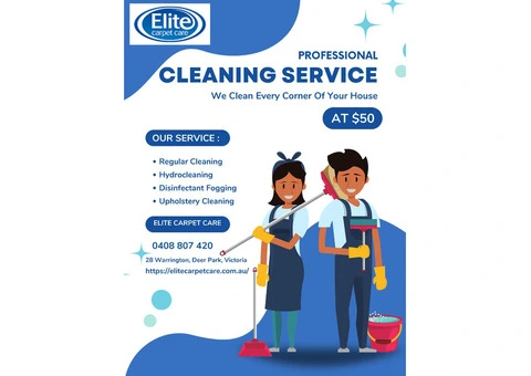 Upholstery Cleaning Deer Park