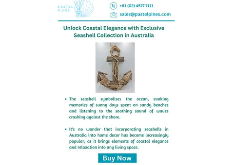 Unlock Coastal Elegance with Exclusive Seashell Collection in Australia