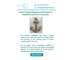 Unlock Coastal Elegance with Exclusive Seashell Collection in Australia