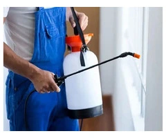 Pest Control Coomera