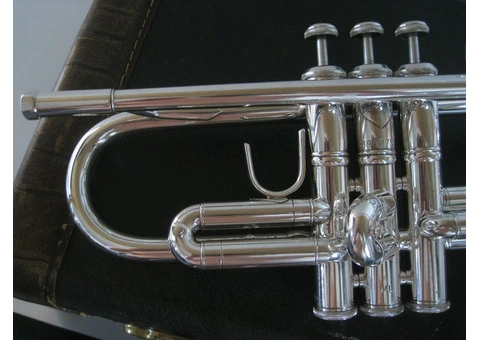 Bach stradivarius - 2/2