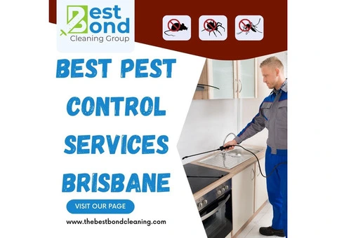 One of the Best Pest Control Services in Brisbane | Best Bond Cleaning