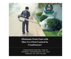 Eliminate Pests Fast with Hire Us 4 Pest Control in Cranbourne!
