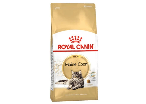 Royal Canin Maine Coon Adult Dry Cat Food - VetSupply