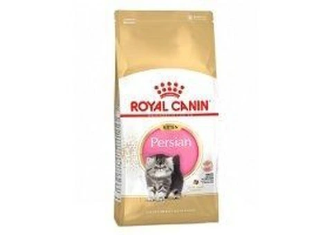 Give Your Persian Kitten the Best with Royal Canin Dry Cat Food