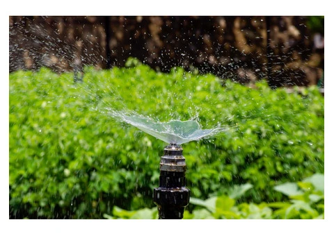 Exploring Plumbing and Bore Pump Services