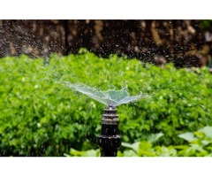 Exploring Plumbing and Bore Pump Services