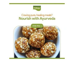 Sydney’s Premier Indian Tiffin Service For Culinary Journey