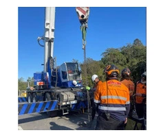 Tree Loppers Near Me