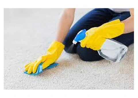 Restore Your Carpets to Perfection with Devere - Carpet & Leather Restoration