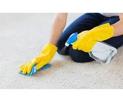 Restore Your Carpets to Perfection with Devere - Carpet & Leather Restoration