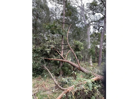 Build your Dream Home with a Trusted Construction Company in the UK! - 10/16