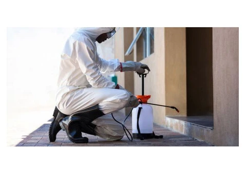 House Washing to Revive your Home Exterior in Brisbane