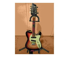 Strum into the Future: Introducing the Electric Mandolin