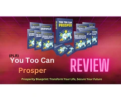 Prosperity Blueprint: Transform Your Life, Secure Your Future
