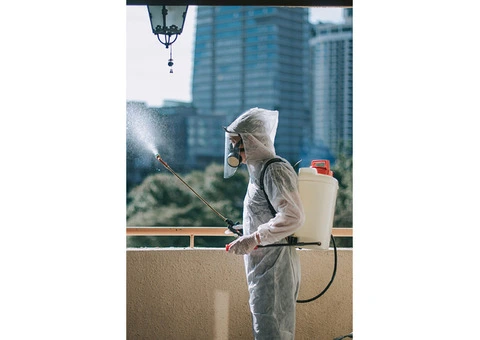 Professional Strata Cleaners in Sydney