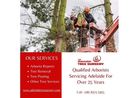 Best Arborists Tree service in Adelaide