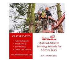 Best Arborists Tree service in Adelaide