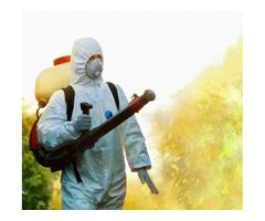 Pest Exterminators Perth