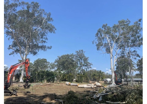 Tree Loppers Near Me