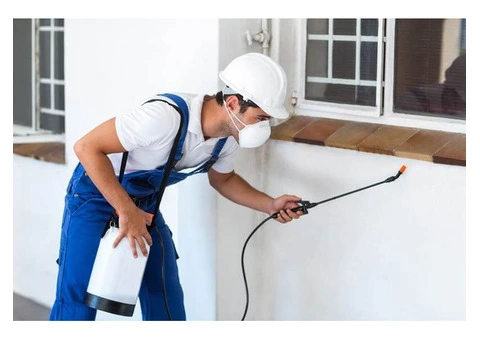Pest Control Services Perth