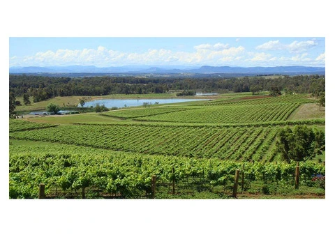 Find the Best Hunter Valley Private Tours