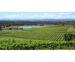 Find the Best Hunter Valley Private Tours