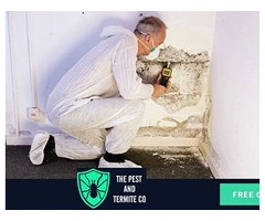 Pest Control Hope Island