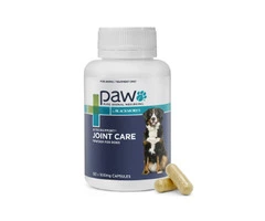 Buy Paw Osteosupport Joint Care Powder For Dogs Online