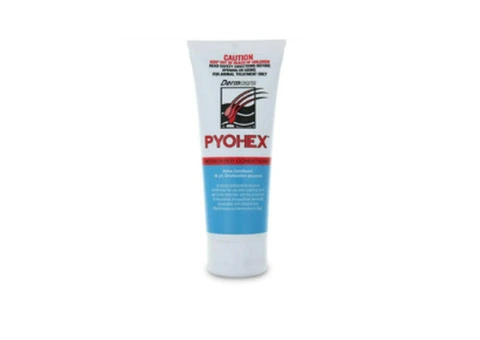 Pyohex Conditioner for Dogs - Antimicrobial Coat Care | VetSupply - 2/2