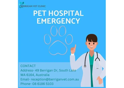 Pet Hospital Emergency|Berrigan Vet Clinic