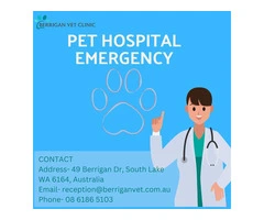 Pet Hospital Emergency|Berrigan Vet Clinic