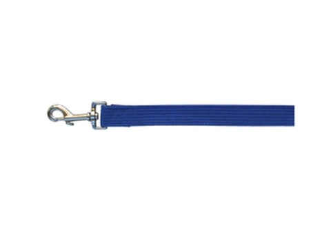 Beau Pets Cotton Webbing Dog Lead Blue - VetSupply