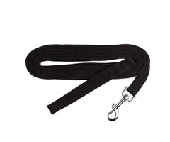 Beau Pets Webbing Dogs Training Lead in Black - VetSupply
