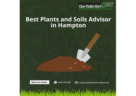 Hire The Best Soil Advisor Across Hampton