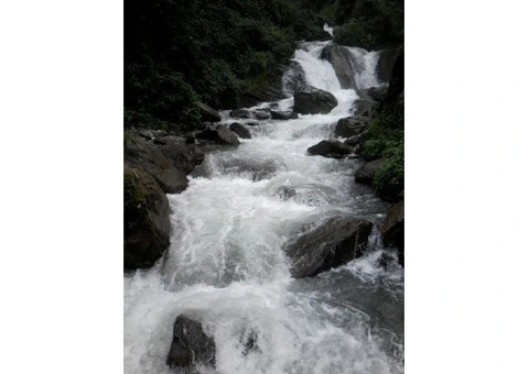 Annapurna Base Camp Trek | Women Adventures