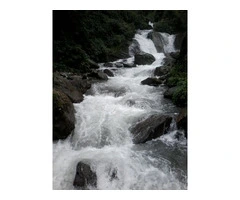 Annapurna Base Camp Trek | Women Adventures