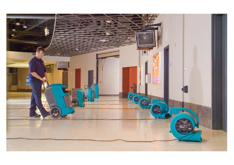 Professional Wet Carpet Drying Melbourne