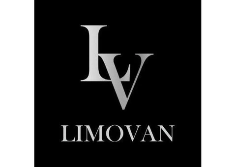 Limovan - Small Party Bus Hire Perth - 1/3