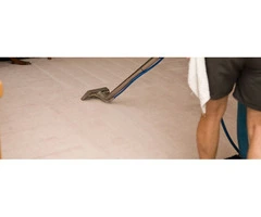 Revive Your Floors with Leading Perth Carpet Cleaner