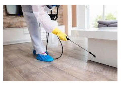 General Pest Treatment offer