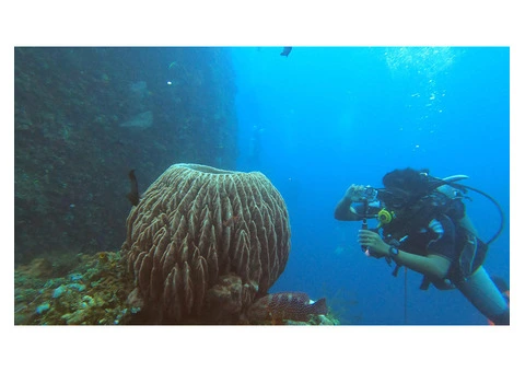 Inblu Scuba Diving Centre - 3/6