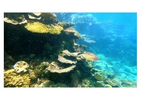 Inblu Scuba Diving Centre - 5/6