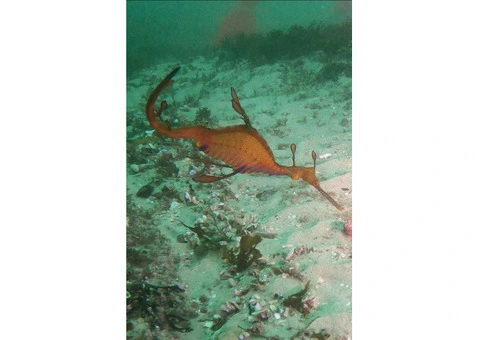 Inblu Scuba Diving Centre - 6/6