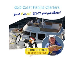 Looking For The Cooee Fishing Tours in Brisbane