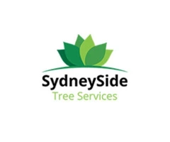 Tree Lopping Sydney: SydneySide's Experts in Safe and Efficient Tree Maintenance