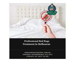 Professional Bed Bugs Treatment in Melbourne