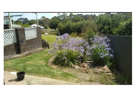 Need handy lawn maintenance and care services? - 2/4