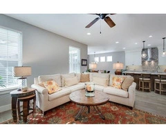 Need a window solution that can control light and privacy?